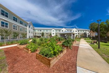 Resident garden